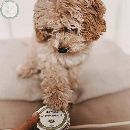 Pet Wiz Organic Paw &amp; Nose Balm - Soothing &amp; Protecting Formula - Charlie &amp; Cookie Co.