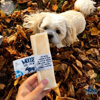 Rauh Nordic Moose Dog Chew - Long-Lasting, Allergy-Friendly - 2 Sizes - Charlie &amp; Cookie Co.