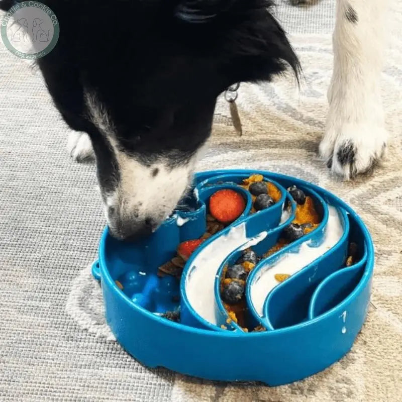 SodaPup Blue Wave Enrichment eBowl - Improve Digestion and Reduce Bloat - Charlie &amp; Cookie Co.