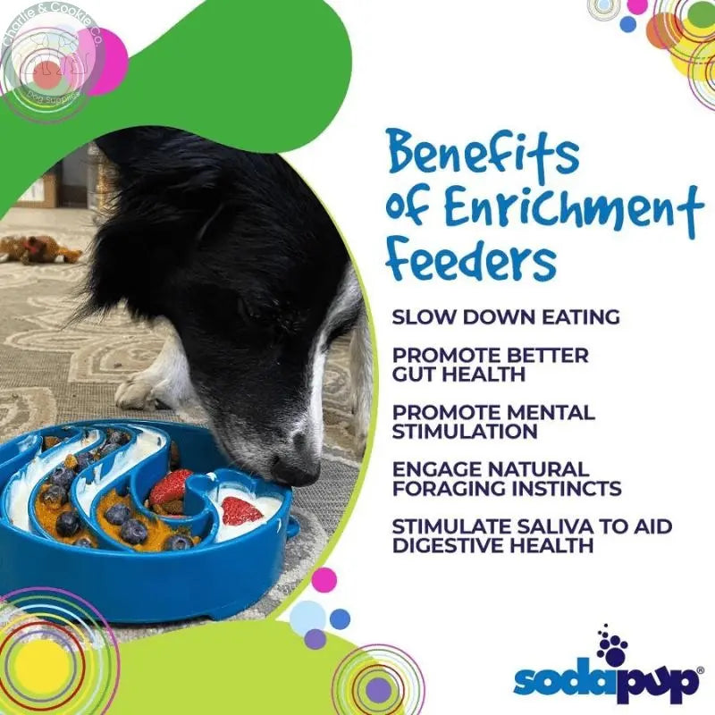 SodaPup Blue Wave Enrichment eBowl - Improve Digestion and Reduce Bloat - Charlie &amp; Cookie Co.