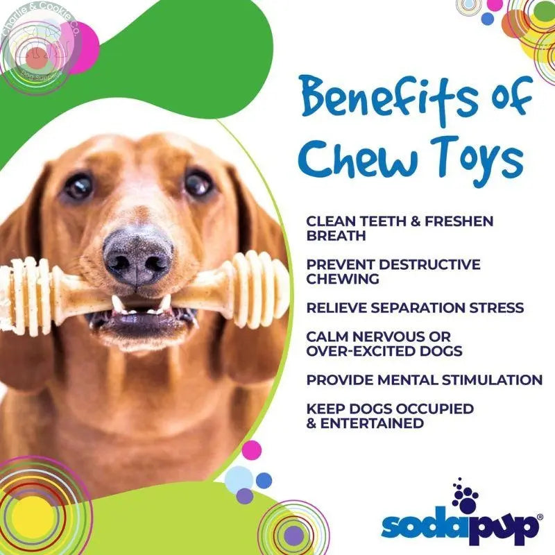 SodaPup Durable Honey Bone Chew Toy - Small, Medium, Large - Charlie &amp; Cookie Co.