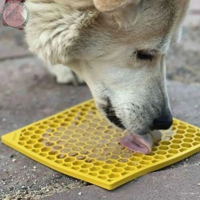 SodaPup Honeycomb Stress Relief &amp; Enrichment Licking Mat - 2 Size Options - Charlie &amp; Cookie Co.