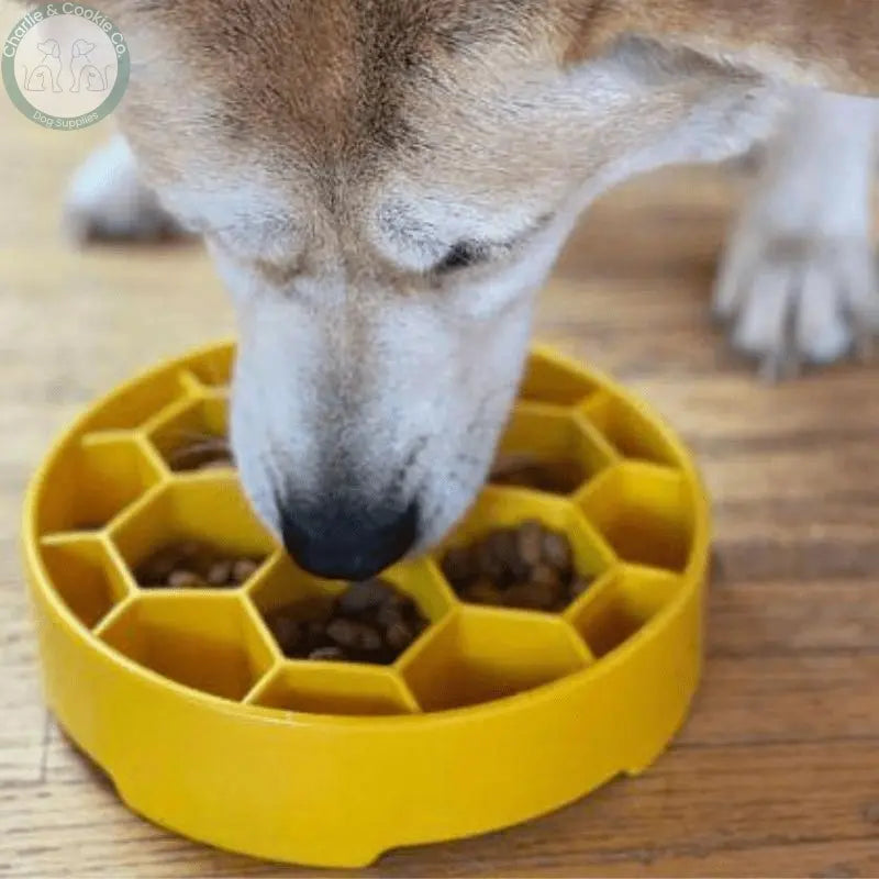 SodaPup Honeycomb Enrichment Slow Feeder Bowl - Charlie &amp; Cookie Co.