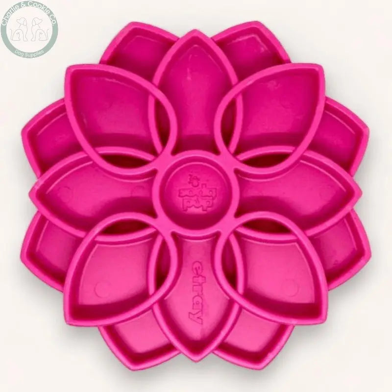 SodaPup Mandala Shallow Slow Feeder Tray - 5 Colour Choices for Happy Mealtime - Charlie &amp; Cookie Co.