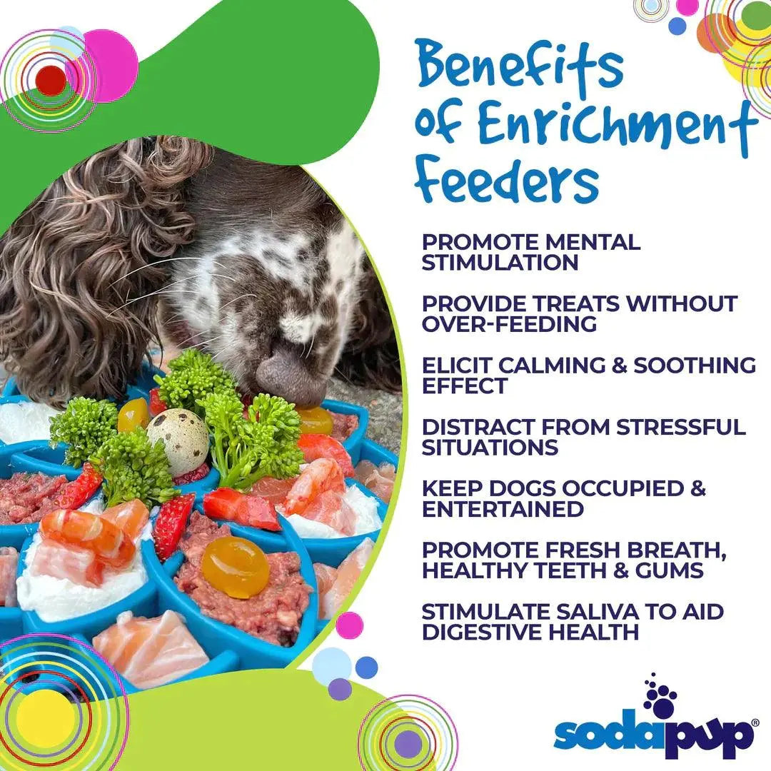 SodaPup Mandala Shallow Slow Feeder Tray - 5 Colour Choices for Happy Mealtime - Charlie &amp; Cookie Co.