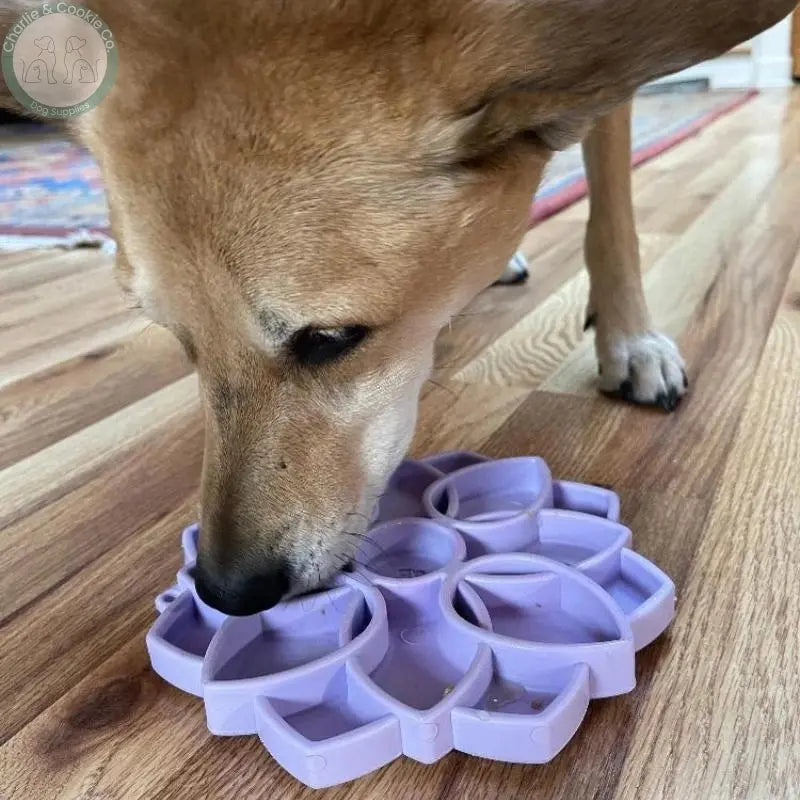 SodaPup Mandala &quot;Softie&quot; Etray Enrichment Tray For Dogs SodaPup