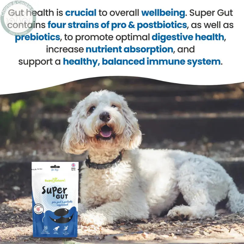 Supernature Pet Super Gut Supplement for Dogs | Pre, Post &amp; Probiotics for Digestive Health Supernature Pet