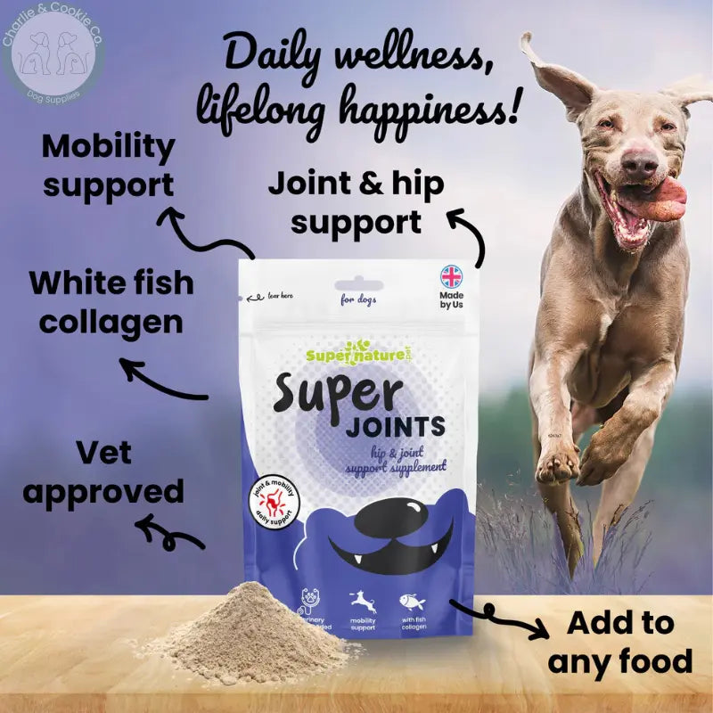 Supernature Pet Super Joints Supplement for Dogs | Natural Hip &amp; Joint Support with Glucosamine &amp; Green Lipped Mussel Supernature Pet