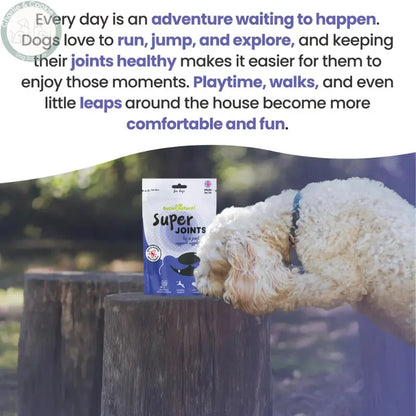 Supernature Pet Super Joints Supplement for Dogs | Natural Hip &amp; Joint Support with Glucosamine &amp; Green Lipped Mussel Supernature Pet