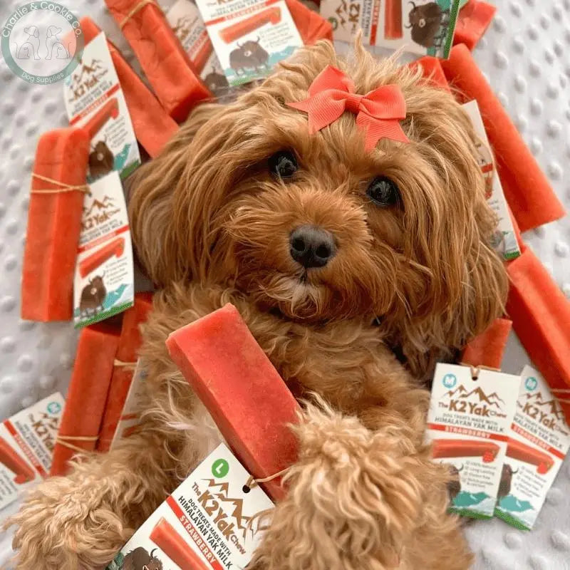 The K2 Yak Chew Strawberry - Durable, Nutritious Dog Chew - 3 Weight Options - Charlie &amp; Cookie Co.