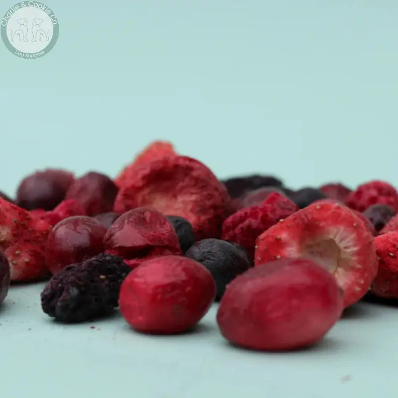 Waita Freeze-Dried Mixed Berries 25g | Antioxidant-Rich Natural Treat for Dogs &amp; Cats