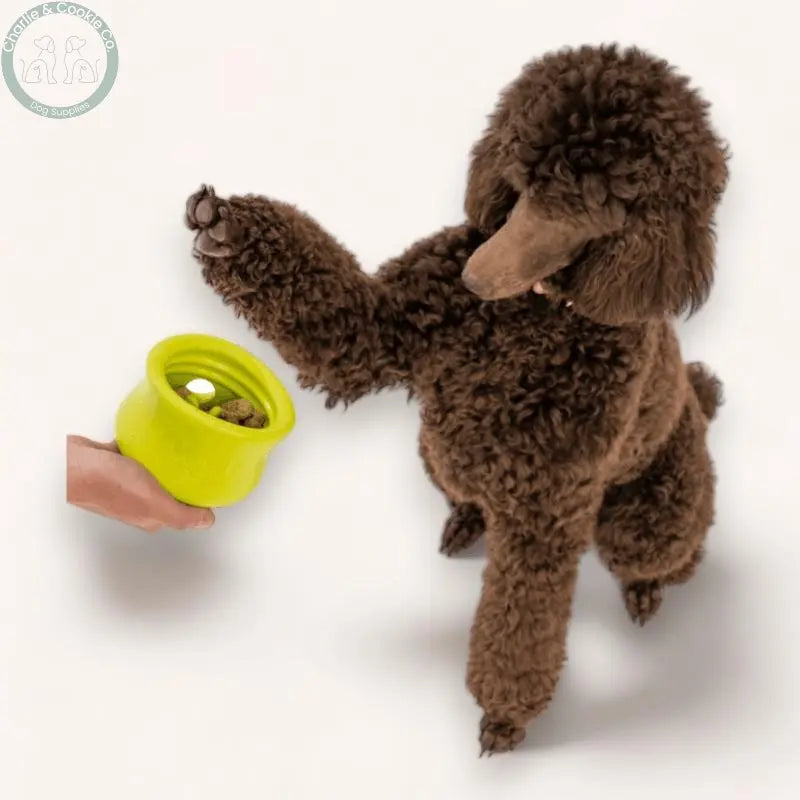 West Paw Toppl Durable Enrichment Toy - 3 Size Options - Charlie &amp; Cookie Co.