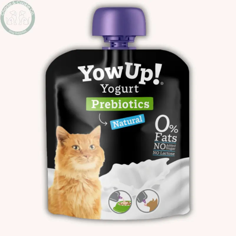 YowUp! Cats – Functional Yogurt Supplements 85g | Natural Prebiotics, Salmon Skin &amp; Hair, and Turkey L. Casei Probiotics YowUp