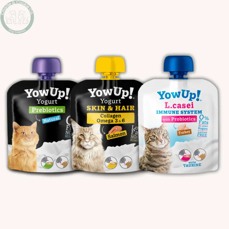 YowUp! Cats – Functional Yogurt Supplements 85g | Natural Prebiotics, Salmon Skin &amp; Hair, and Turkey L. Casei Probiotics YowUp