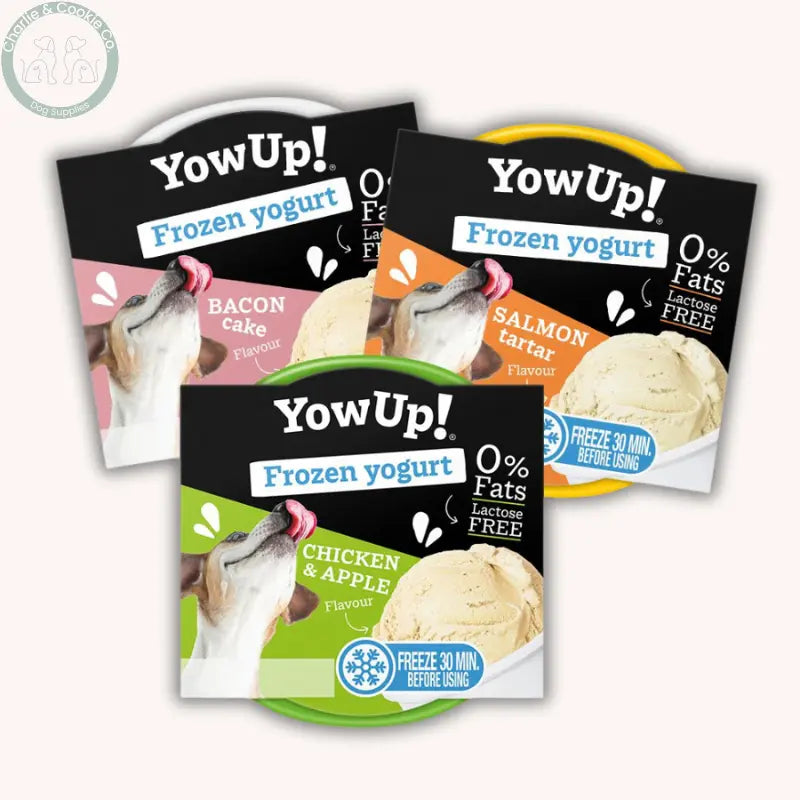 YowUp! Frozen Yogurt Ice Cream 110g for Dogs and Cats YowUp