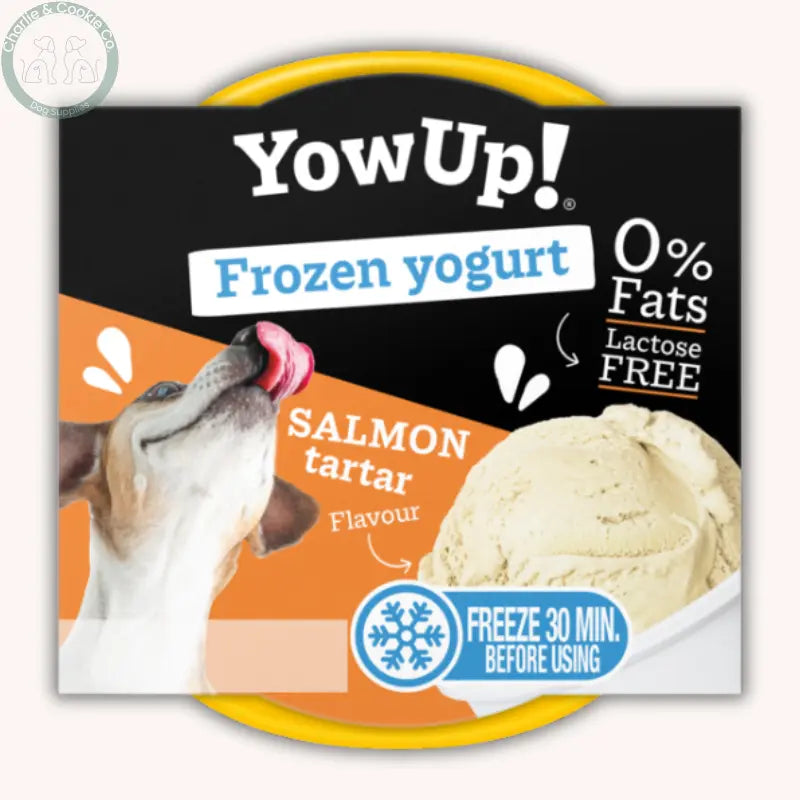 YowUp! Frozen Yogurt Ice Cream 110g for Dogs and Cats YowUp