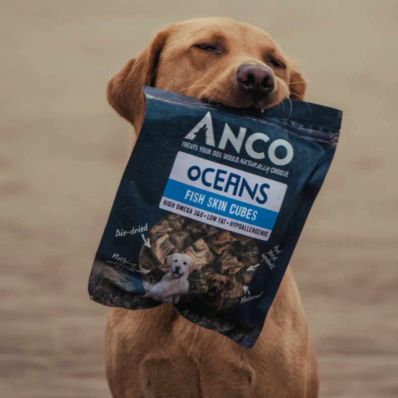 Labrador holding an Anco Oceans Fish Skin Cubes pack