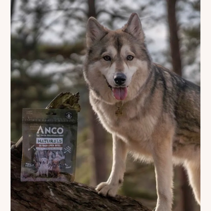 A dog beside an Anco Naturals Ostrich Liver Bites bag outdoors
