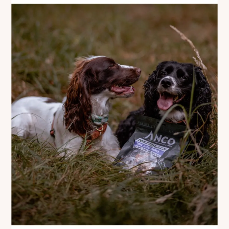 Two dogs beside an Anco Naturals Pork Scratchings bag outdoors