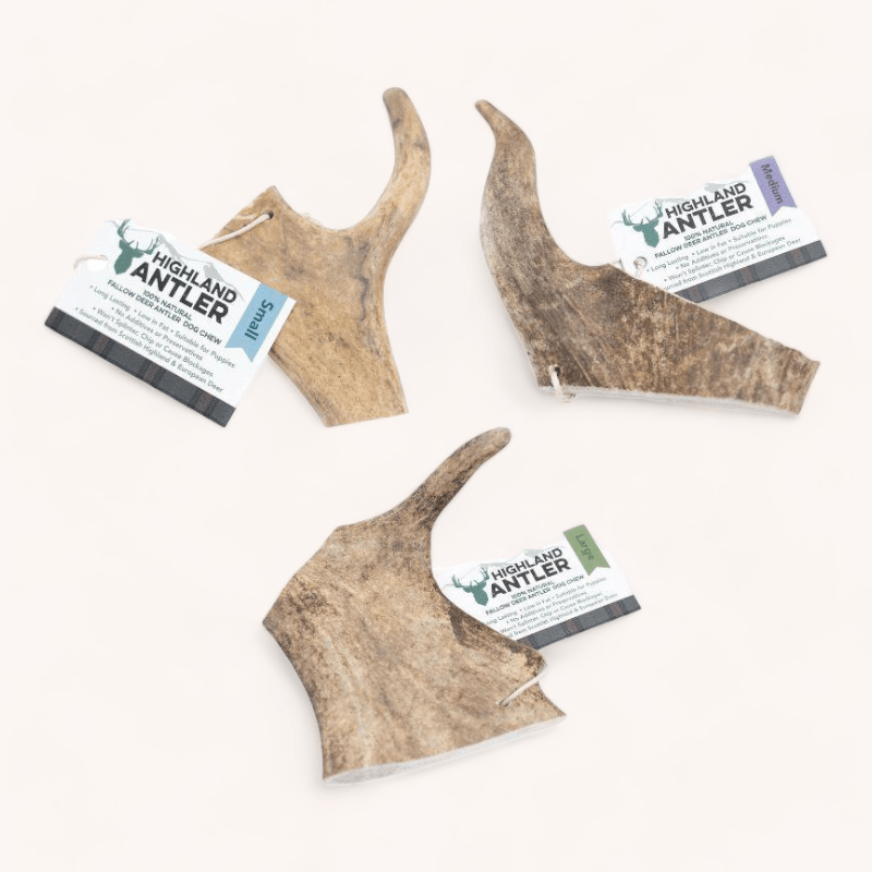 Deer antlers for sales puppies