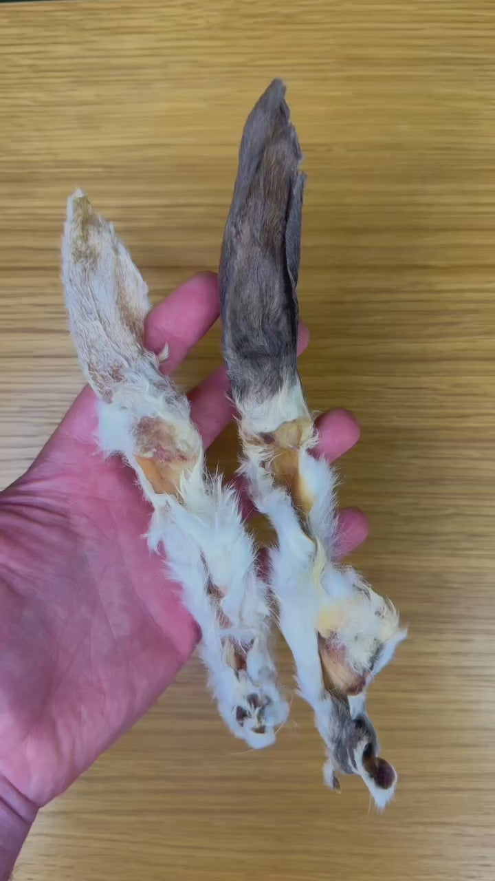 Paddock Farm Hairy Rabbit Ears 500g natural rabbit ear dog chews video