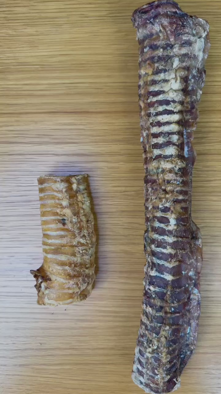 C&amp;C Beef Trachea Chews 1kg natural beef dog chews in 10-15cm or 30-35cm video