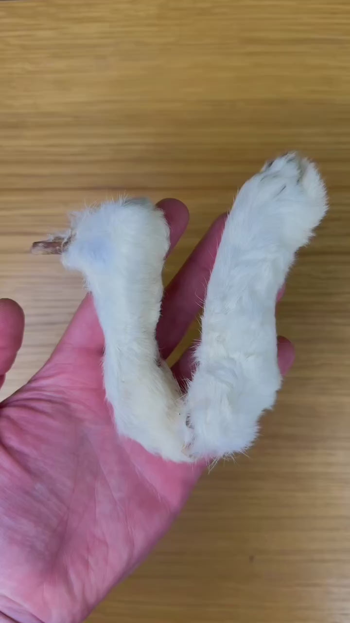 C&amp;C Hairy Rabbit Feet | Hypoallergenic Natural Chew for Dogs