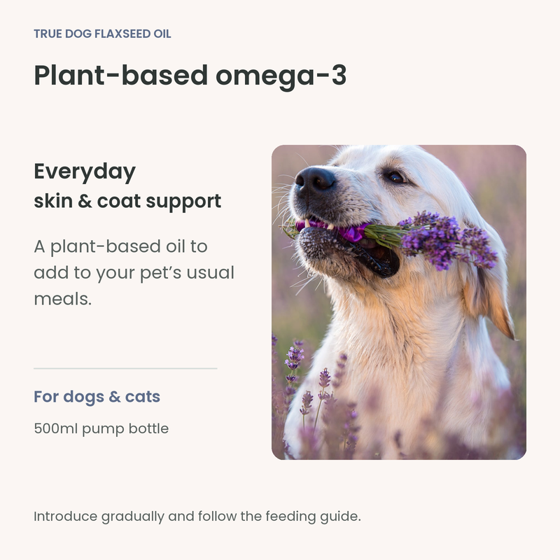 True Dog flaxseed oil omega-3 information beside a golden retriever